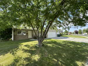 Ranch-style home featuring a front yard and a garage