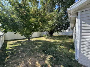 View of fenced back yard with mature trees