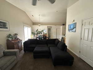 Carpeted living room with a high vaulted ceiling