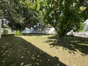 View of fenced back yard with mature trees