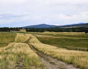 Photo 11 of 5  JUNIPER FLDS