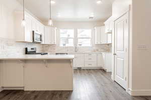 Kitchen with tasteful backsplash, stainless steel appliances, a sink, a peninsula, and wood finished floors