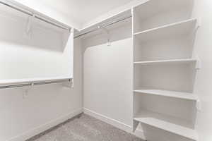 Spacious closet with light carpet