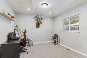 View of carpeted office