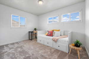 Carpeted bedroom with multiple windows