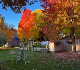 View of play area featuring a storage shed and a yard