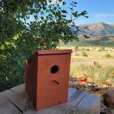 Exterior details with a rural view and a mountain view