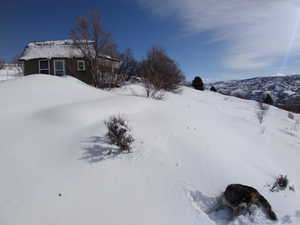 View of snowy yard