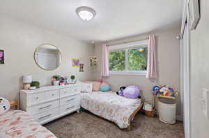 Bedroom with dark carpet