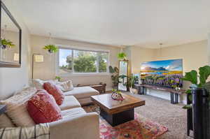 Living room with carpet floors