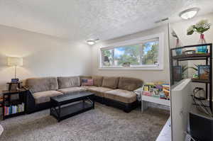 Living room with a textured ceiling and carpet flooring