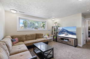 Carpeted living room with a textured ceiling