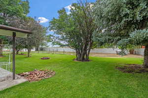 View of yard with mature trees, & fruit trees