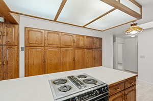 Kitchen featuring stove and light wood-type flooring, abundance of storage.