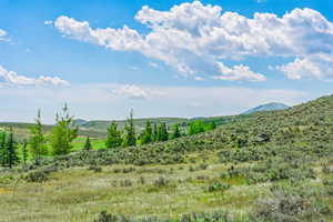 Photo 1 of 6297  PAINTED VALLEY PASS