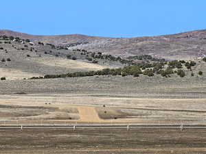 Juniper Fields Development