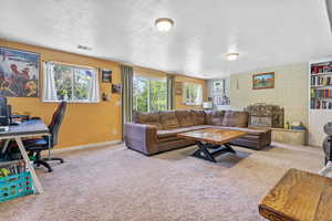 Downstairs family room