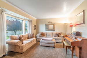 Carpeted living room with crown molding