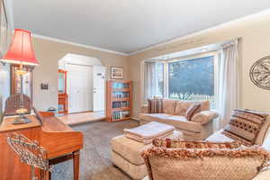 Living room with crown molding and carpet floors