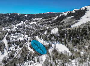 Snowy aerial view with a mountain view