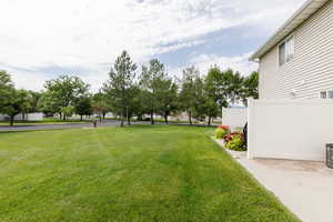 Yard from the back patio