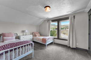 Carpeted bedroom featuring a textured ceiling and vaulted ceiling