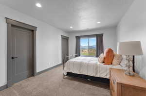 Carpeted bedroom with a textured ceiling