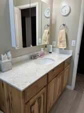 Bathroom with vanity and wood-type flooring