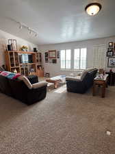 Living room featuring track lighting, a textured ceiling, and carpet floors