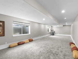 Basement family room or media room, wired for surround sound. featuring a textured ceiling and carpet flooring