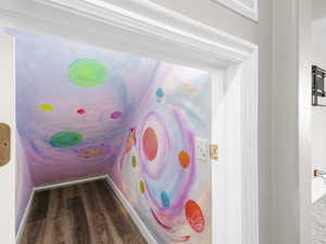 Kids play room under the stairs. Glow in the dark painted galaxy walls, bring a black light and it will glow. LVP flooring.