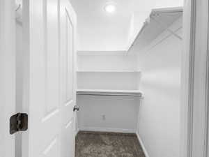 Basement bedrooms #5 spacious walk-in closet with carpet