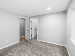 Largest basement bedroom #5 with walk in closed, with carpet.