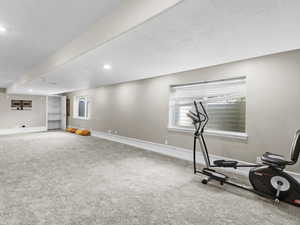 Basement family/media room featuring a textured ceiling, a healthy amount of sunlight, and carpet floors.