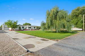 View of home's community featuring a yard