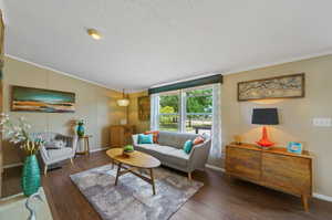 Living room with a textured ceiling, ornamental molding, and dark hardwood / wood-style flooring