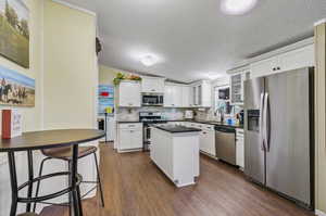 Kitchen featuring dark wood-type flooring, stainless steel appliances, decorative backsplash, sink, and white cabinetry