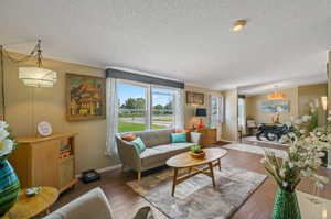 Living room featuring dark hardwood / wood-style flooring and a textured ceiling