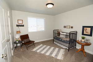 Carpeted bedroom featuring a nursery area