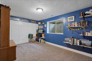 Basement bedroom 2