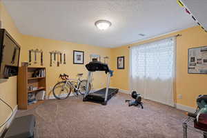 Basement bedroom #3 used as workout room. including a walk in closet.