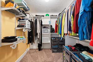 Walk in closet featuring light carpet in basement bedroom