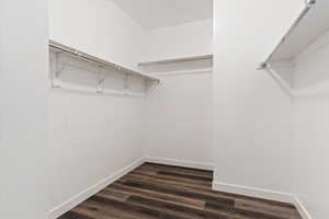 Walk in closet featuring dark hardwood / wood-style floors