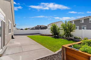 View of yard featuring a patio