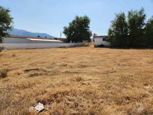 View of yard with a mountain view