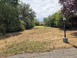 Looking south in front yard. House to right, street to left on other side of trees.