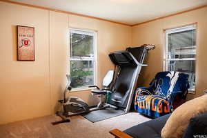 Workout area featuring crown molding and carpet flooring