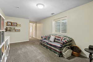 Carpeted living room with a textured ceiling