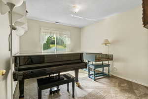 Misc room with a textured ceiling and carpet