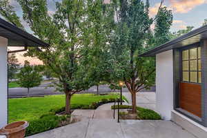 View of yard at dusk